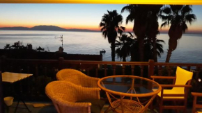 Engrossed in the fabulous sunset